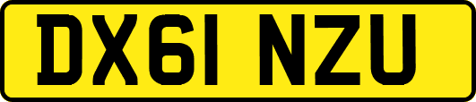 DX61NZU