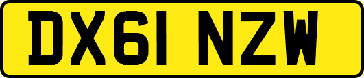 DX61NZW
