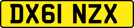 DX61NZX