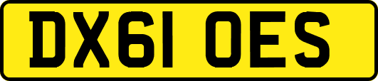 DX61OES