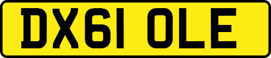 DX61OLE