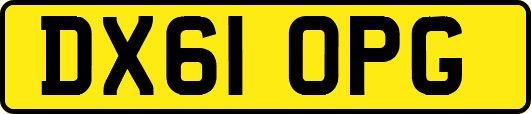 DX61OPG