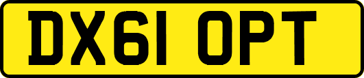 DX61OPT