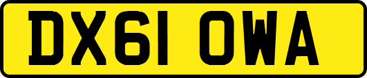 DX61OWA
