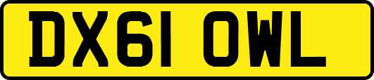 DX61OWL
