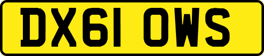 DX61OWS