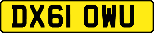 DX61OWU