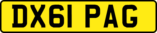 DX61PAG