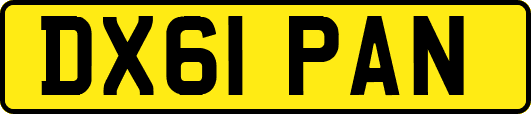 DX61PAN
