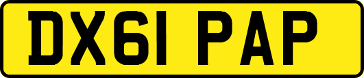 DX61PAP