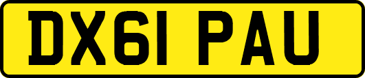 DX61PAU