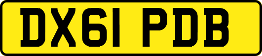 DX61PDB