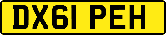 DX61PEH