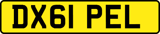 DX61PEL
