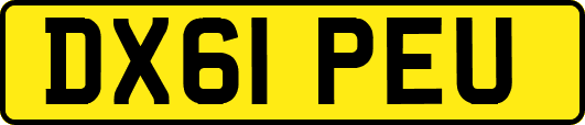 DX61PEU