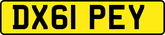 DX61PEY