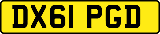 DX61PGD