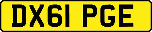 DX61PGE