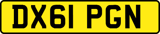 DX61PGN