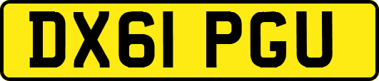 DX61PGU