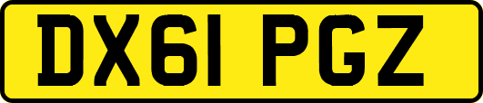 DX61PGZ