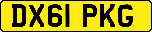 DX61PKG