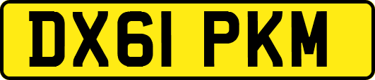 DX61PKM