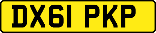 DX61PKP