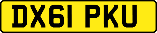 DX61PKU
