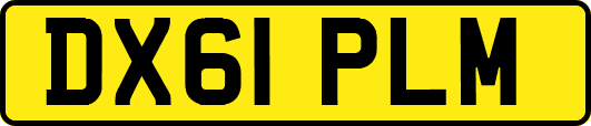 DX61PLM