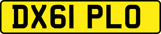 DX61PLO