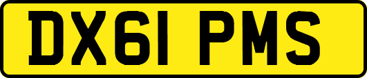 DX61PMS