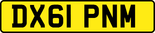 DX61PNM