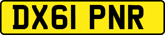 DX61PNR