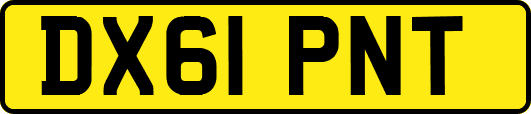 DX61PNT