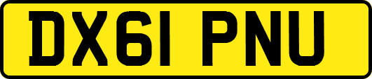 DX61PNU