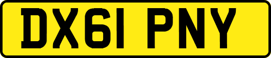 DX61PNY