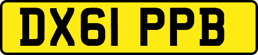 DX61PPB