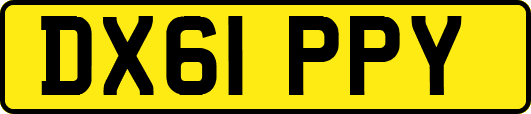 DX61PPY