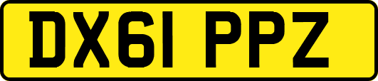 DX61PPZ