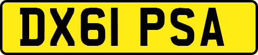 DX61PSA