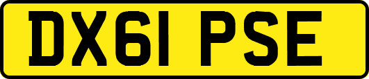 DX61PSE
