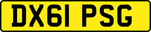 DX61PSG