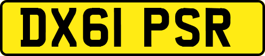 DX61PSR