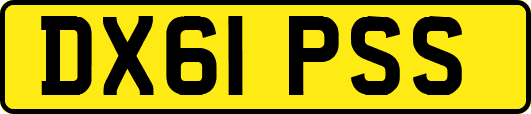 DX61PSS