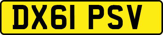 DX61PSV