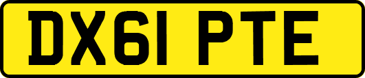 DX61PTE