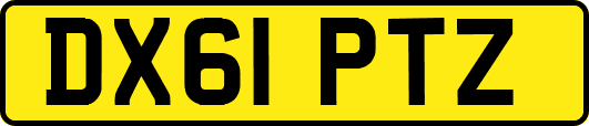 DX61PTZ