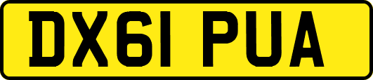 DX61PUA