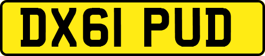 DX61PUD